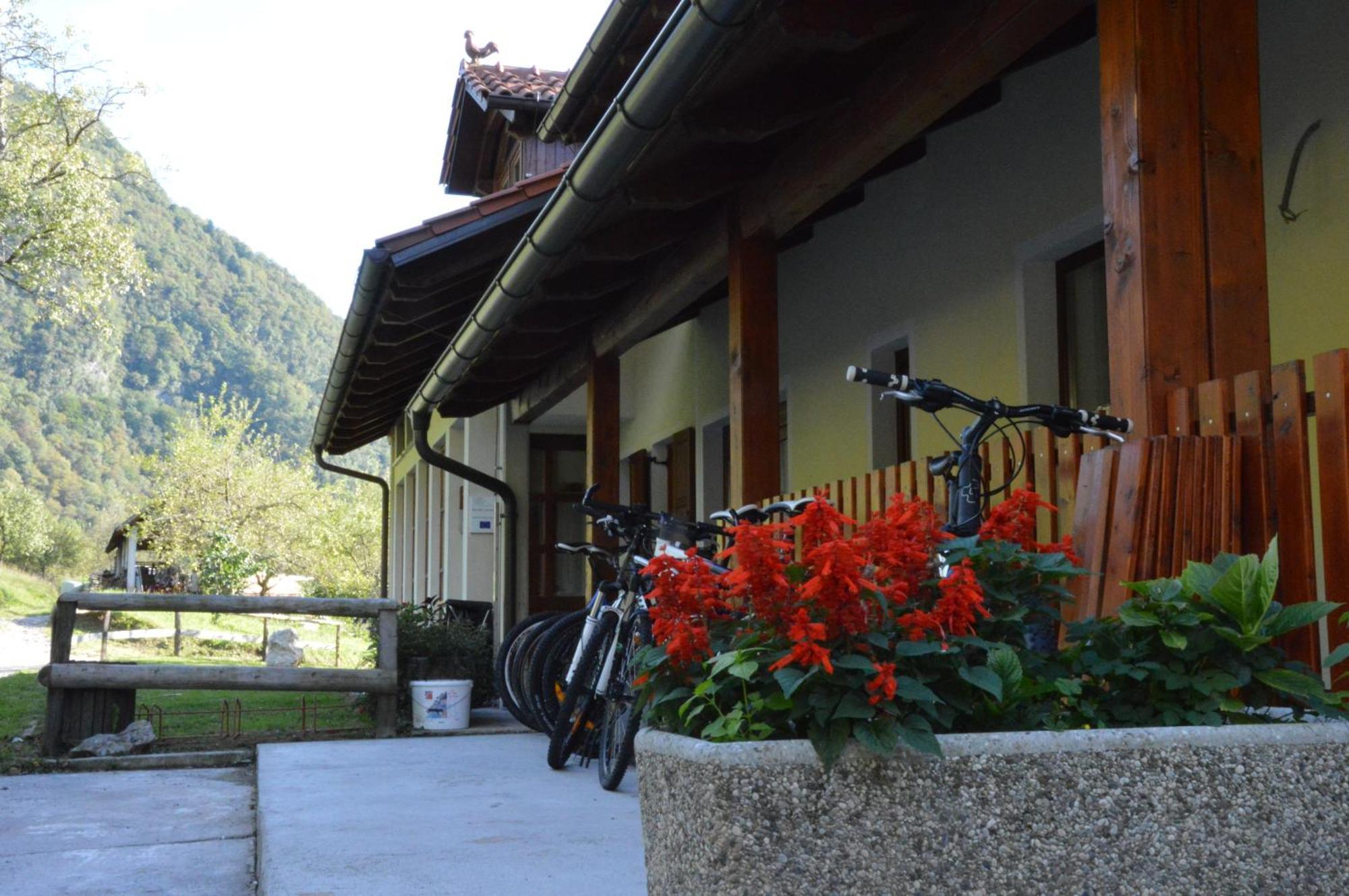 Tourist Farm Pri Kafolu Villa Tolmin Room photo