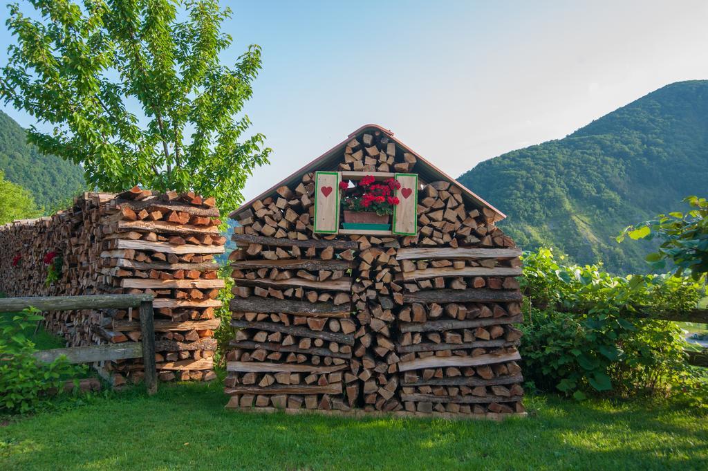 Tourist Farm Pri Kafolu Villa Tolmin Exterior photo